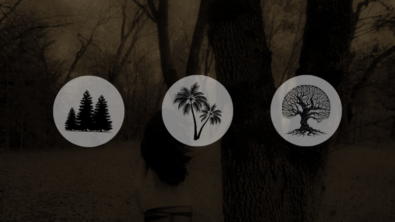 Follow Me Into the Forest