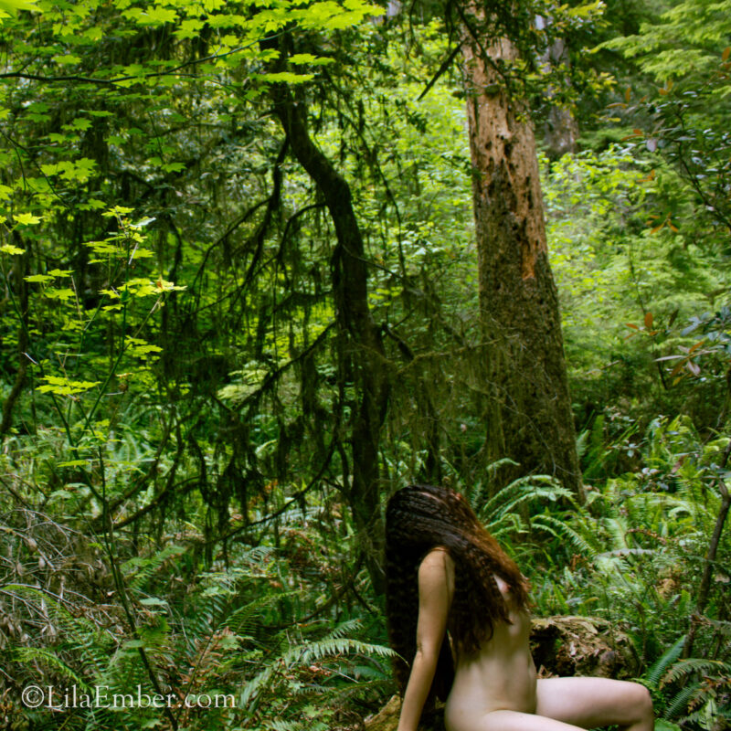 Naked woman in the forest